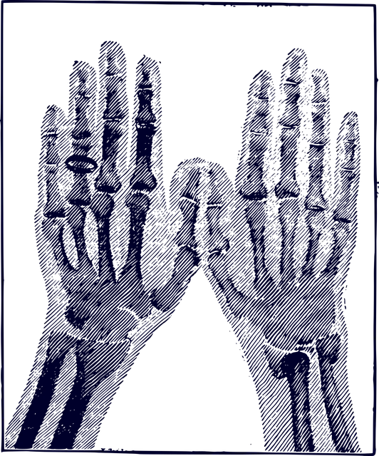 WEC Blinded logo lilac 2.png